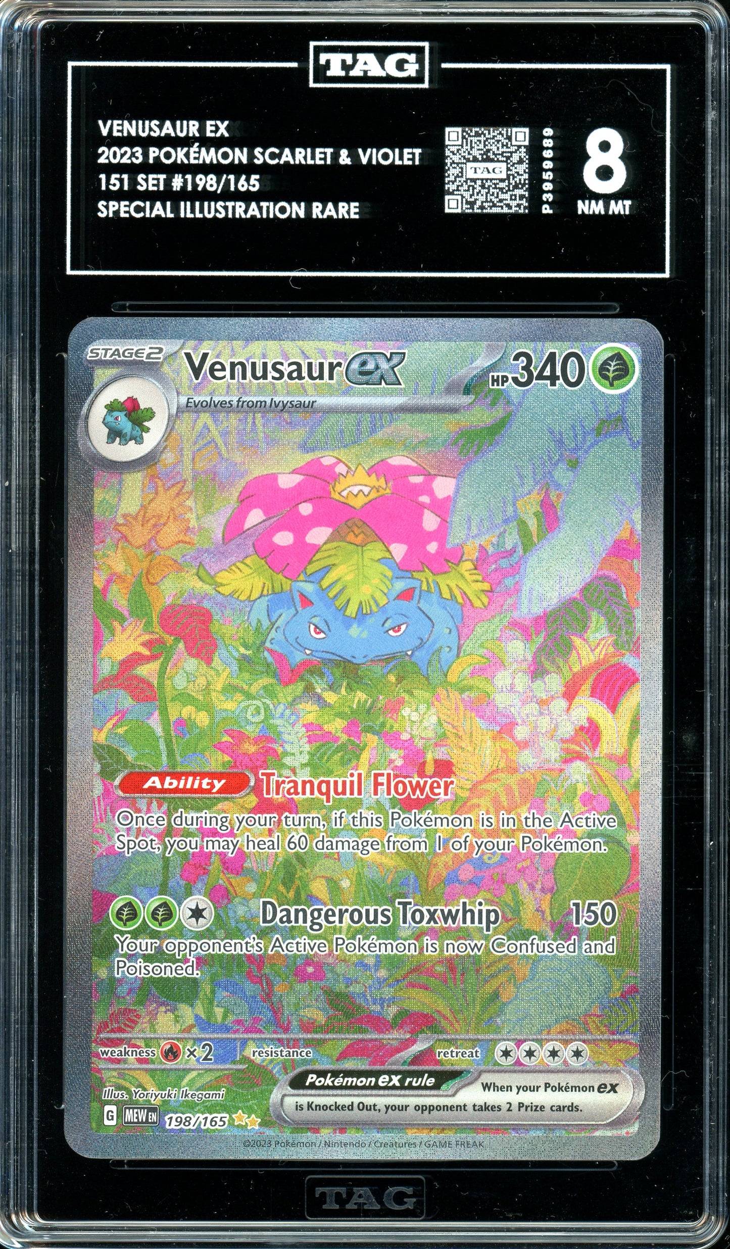TAG 8 Pokemon 151 Venusaur Ex