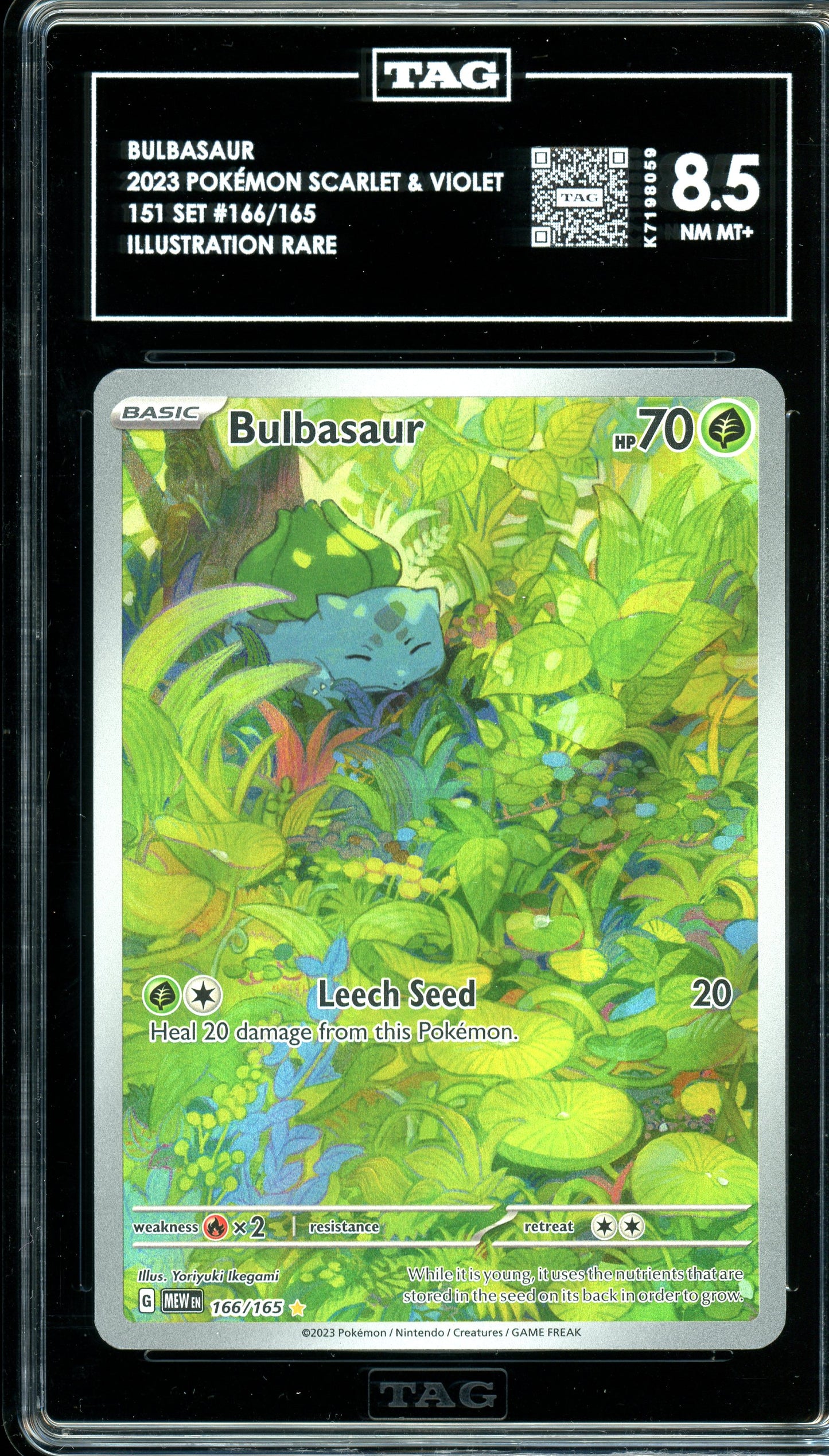 TAG 8.5 Pokemon 151 Bulbasaur